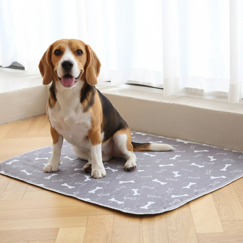 Petliva Pup Pad